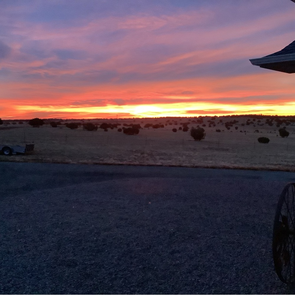 Hand Crafted Beeswax Body balm - Picture 11 of 11